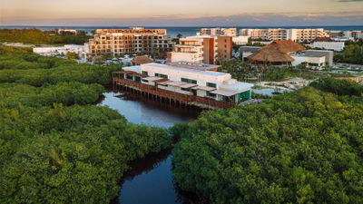 The Ventus Ha' at Marina El Cid Spa & Beach Resort highlights the beautiful mangrove forests of the Riviera Maya.